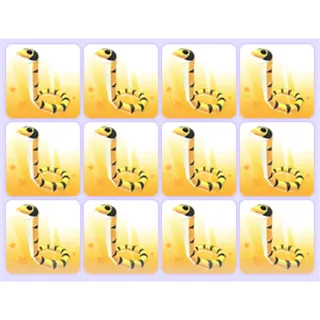 Yellow Lipped Sea Krait x12