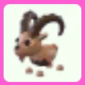 Ibex