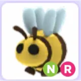 Pet | Bee NR Neon Ride