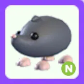 Pet | Sado Mole N Neon