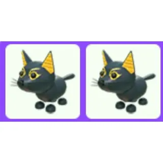 Abyssinian Cat x2