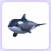 Pet | Orca Adopt Me