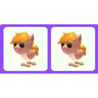 Show Pony x2