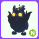 Pet | Nightmare Owl N