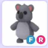 Pet | Koala FR Full Grown