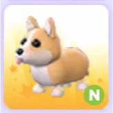 Corgi N Neon