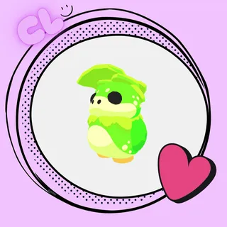 Kappakid