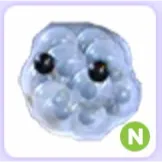 Pet | Frogspawn N Neon