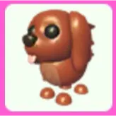 Irish Setter