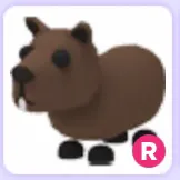 Pet | Capybara R