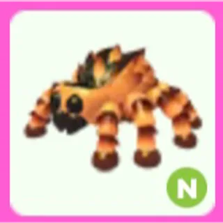 Tarantula N
