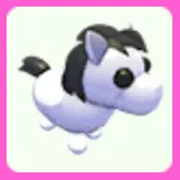 Shetland Pony White