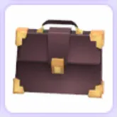 Briefcase Pet Wear