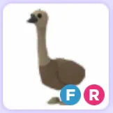 Pet | Emu FR