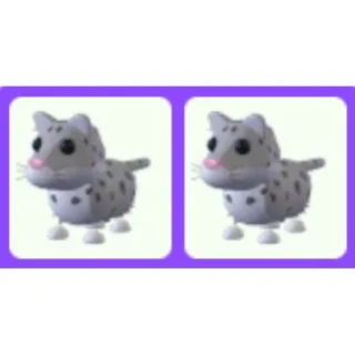 Pet | Snow Leopard Bundle x2