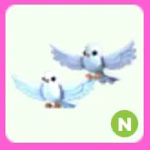 Turtle Dove N