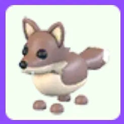 Coyote