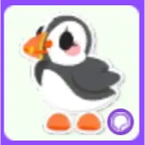 Puffin Sticker