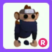 Pet | Ninja Monkey R