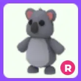 Koala R