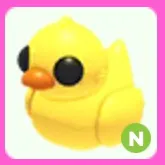 Rubber Ducky N