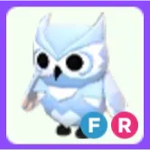 Pet | Snow Owl FR