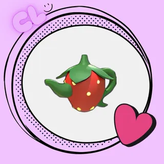 Strawberry Teapot Leash