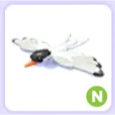 Pet | Arctic Tern N