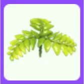 Fern Propeller