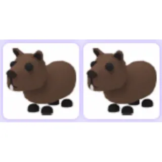 Pet | Capybara Bundle x2