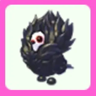 Jacobin Pigeon