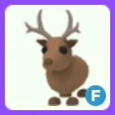 Reindeer F