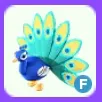 Pet | Peacock F