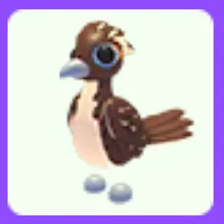 Roadrunner