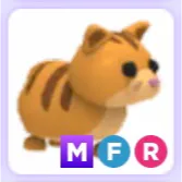 Pet | Ginger Cat MFR Mega