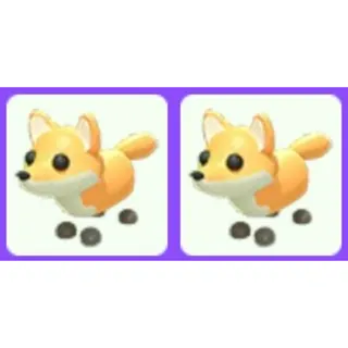 Red Fox x2