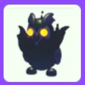Pet | Nightmare Owl