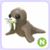 Walrus N
