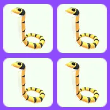 Yellow Lipped Sea Krait x4