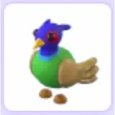 Green Chested Pheasant