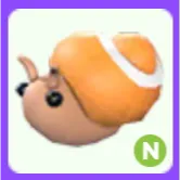 Trapdoor Snail N