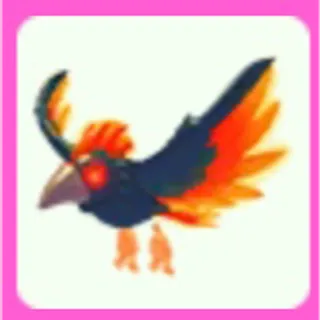 Storm Condor