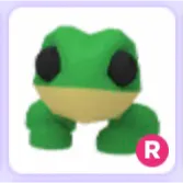 Pet | Frog R