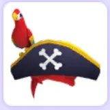 Pirate Hat & Friend