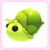 Sprout Snail