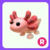 Pet | Axolotl R