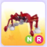 Pet | Spider Crab NR