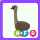 Pet | Emu NFR Neon