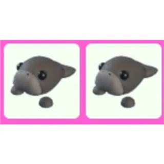 Dugong x2