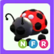 Pet | Ladybug NFR Neon